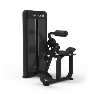 Diamond - Back Extension S550