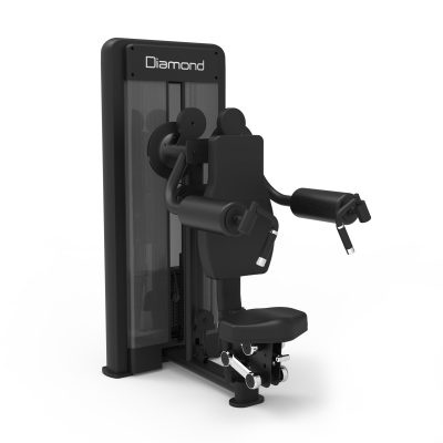 Diamond - Seated Lateral Raise S550