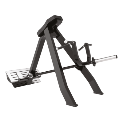 Toorx Vertical - Standing T Bar FWX-6950 — Rematore a T Professionale, Struttura Rinforzata 300 kg